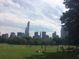 View from our picnic in Sheep Meadow